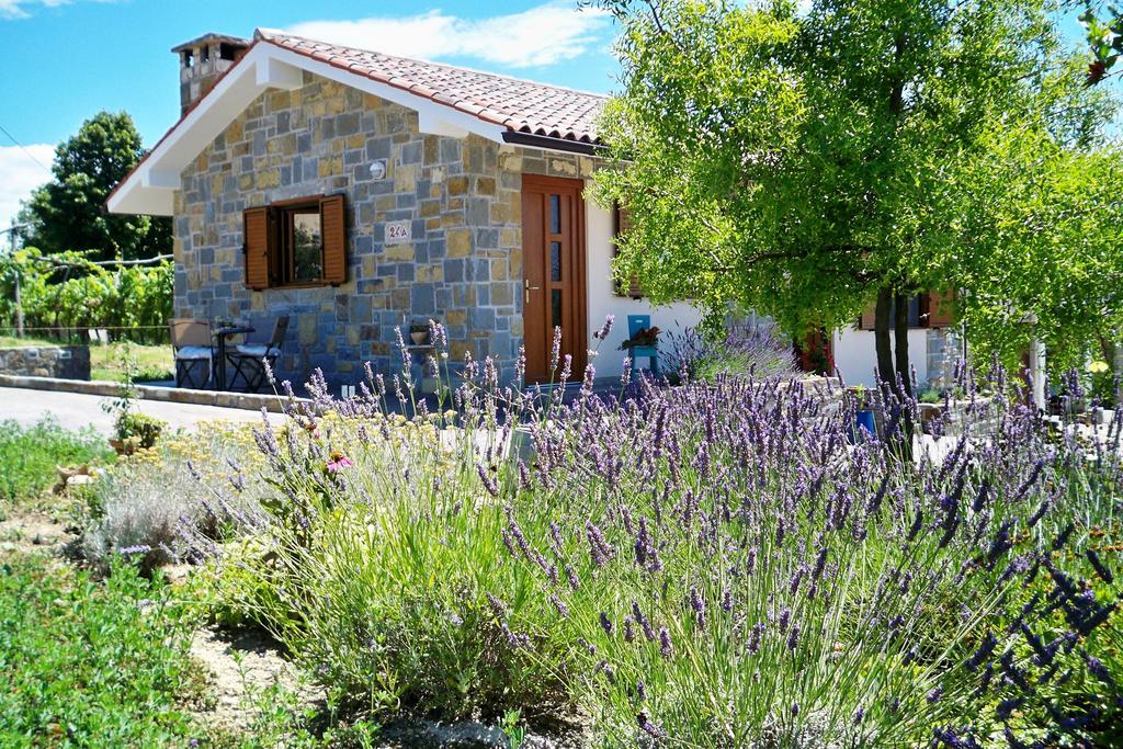 Holiday House Ida マレズィーシュ エクステリア 写真