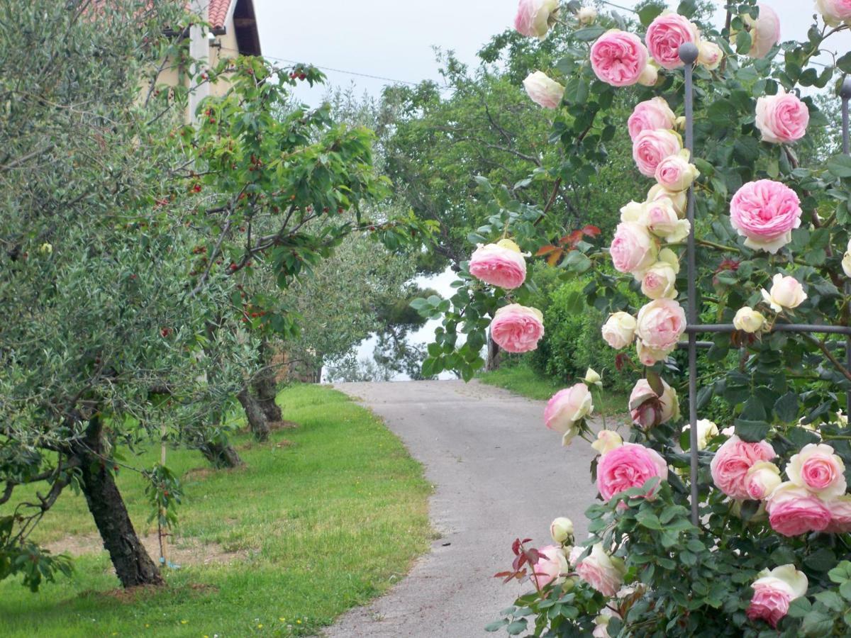Holiday House Ida マレズィーシュ エクステリア 写真